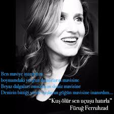 Carpe Diem Kus Mavi