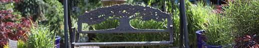 Maybe you would like to learn more about one of these? Shop Frese Ornamental Nursery