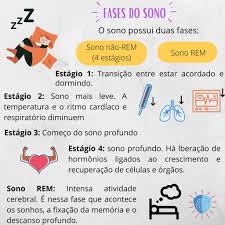 ¿qué expectativas tienes de este proceso de mediación? Fases Do Sono Observaped