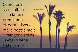 La scomparsa di tuo fratello è stata inaspettata per tutti. Frasi Per I Fratelli Brevi Pensieri E Dediche Per Un Fratello Frasi Brevi