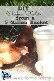 These chicken feeders must be easier to make, no feed loss at all, can hold more feeds securely and safely for the chickens, can hold any type of feeds. Diy Bucket Chicken Feeder From A 5 Gallon Bucket Far From Normal