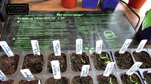 Maybe you would like to learn more about one of these? How To Use A Seed Starting Heat Mat Germination For Peppers Tomatoes Other Warm Season Crops Youtube