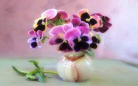 Pansies In A Vase Man Made Flower Pansy Vase Purple Flower Wallpaper Oil Painting Flowers Pansies Pansies Flowers