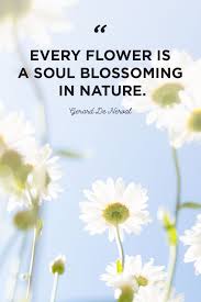 Explore our collection of motivational and famous quotes by authors you know and love. 48 Inspirational Flower Quotes Cute Flower Sayings About Life And Love