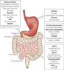 We did not find results for: Gut Meaning In Hindi Gut In Hindi Definition And Translation Englishsikho Com