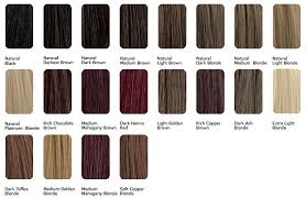 Aveda Hair Color Chart World Of Template Format