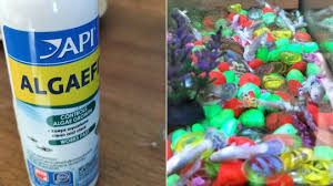 Api Algaefix, 4 Oz. | Petco