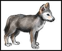 Cool animals to draw wolf. How To Draw Cartoon Wolves Realistic Wolves Drawing Tutorials Drawing How To Draw Wolves Drawing Lessons Step By Step Techniques For Cartoons Illustrations
