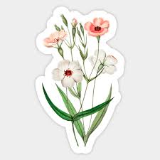 ✓ free for commercial use ✓ high quality . Cottagecore Aesthetic Pink Flowers Cottagecore Aesthetic Sticker Teepublic