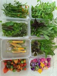 Check spelling or type a new query. Toltec Farms Herbs Edible Flowers Facebook