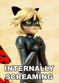 Internally Screaming Miraculous Ladybug Miraculous Ladybug Memes Miraculous Ladybug Anime Miraculous Ladybug Comic