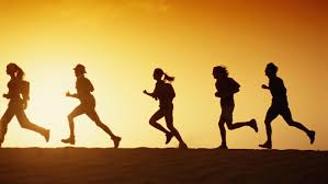 5 components of physical fitness are also known as health related fitness components. The 5 Components Of Fitness 2019 Update