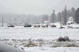 Update Homicide Victim In Abbotsford Was Shot Killing Believed To Be Targeted Abbotsford News