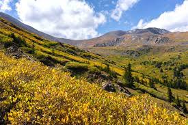 The upper parking area (on the west side of the. A Guide To End Of The Season Camping Along Guanella Pass 303 Magazine