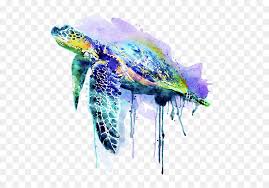 Download Sea Turtle Watercolor Hd Png Download Vhv