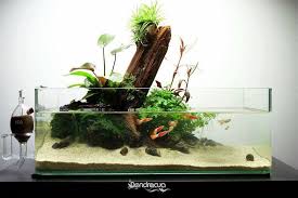 Paludarium Aquapaisagismo Terrario Aquarios