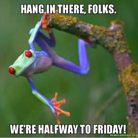 39 Funny Wednesday Memes to Get You Through Hump Day