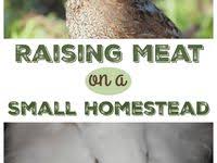 Geyser Pump Aquaponics Aquaponics Diy Hydroponics