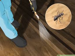 Spray around the mound in a circle 6 to 10 feet in diameter to kill off any foragers. How To Get Rid Of Ants In The House 11 Steps With Pictures