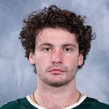 2025 Tucson Roadrunners vs Iowa Wild