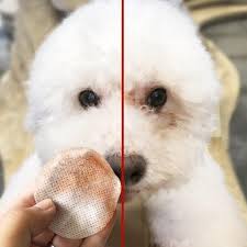 100pcs Set Pet Eye Wet Wipes Cat Dog Tear Stain Remover Gentle Non Int Dailymix In 2020 Dog Tear Stains Pet Wipes Pets