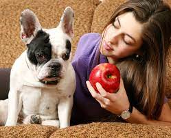 Gemuse Obst Und Salatliste Fur Hunde Obst Gemuse Fur Hunde Hunde