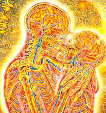 We did not find results for: Alex And Allyson Grey Bring The Vision To Melbourne