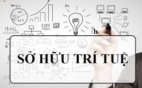 Quy trình giám định tư pháp về quyền tác giả, quyền liên quan