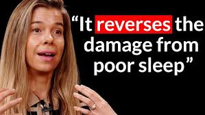 Interview with John Zipp