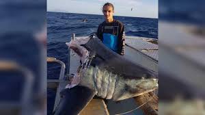 Explore more searches like world record salmon shark. Https Www Wvtm13 Com Article Iowa State Rep Breaking Down Barriers By Bringing Newborn To Capitol Building 27129104 2019 04 12t17 20 00z Daily 0 8 Https Www Wvtm13 Com Article Police 3 Naked Women Were Air Drying At Florida Rest Stop Before