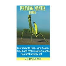 A praying mantis is a fun and relatively simple pet to care for. Praying Mantis Guide Learn How To Feed Care House Breed And Make Praying Mantis Your Best Healthy Pet Buy Online In South Africa Takealot Com