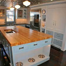 Pet Friendly Kitchen Ideas Design Ideas