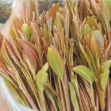 سوق القات البغمة في شاهل حجة يصل قيمتها ٤٣ألف. Ù…Ù„Ùƒ Ø§Ù„Ù‚Ø§Øª Ø§Ù„Ø§Ø±Ø­Ø¨ÙŠ Ù„Ù„ØªÙˆØ§ØµÙ„ ÙˆØ§Ù„Ø§Ø³ØªÙØ³Ø§Ø± Ù…ØªØ§Ø¨Ø¹Ù‡ Mkaeypgsyp7zeln Twitter