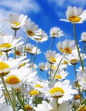 Or, if she's really lucky, exploring a foreign. Patricia Anne Tighe Obituary Visitation Funeral Information