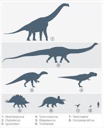 dinosaurs size comparison with a human dinosaur history