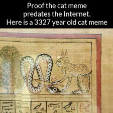 Pin On Cat And Kitten Funny Memes