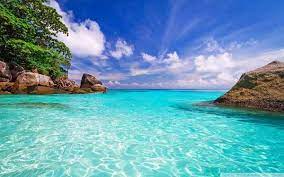 Happy birthday fresh cake hd wallpapers. 20 Beautiful Hd Sea Beach Wallpapers Backgrounds Beach Wallpaper Beach Landscape Ocean Wallpaper