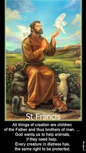 All Things Of Creation Are Children Of The Father And Thus Brothers Of Man God Wants Us To Help Animals If They Need St Francis Francis Of Assisi Assisi