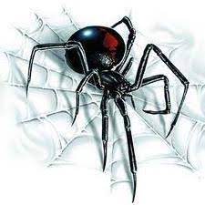 Since 1963, morgan pest termite and pest control has provided high quality pest control in st. Preventive Pest Control St George And Mesquite Home Facebook