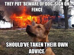 Evil dog