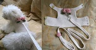 Orgu Kopek Kazaklari Dogcrochetedsweaters Orgu Kopek Kazaklari Crochet Dog Clothes Dog Clothes Patterns Crochet Dog