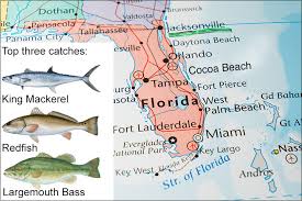10 Places With The Best Fishing In Florida And None Of