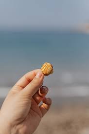 We did not find results for: Background Air Pantai Kabur Ombak Pasir Laut Dan Tangan Manusia Tangan Pxfuel