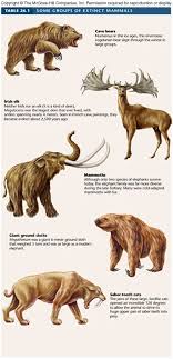 Www Zo Utexas Edu Faculty Sjasper Images Extinct Mammals Jpg Mammals Ancient Animals Extinct Animals