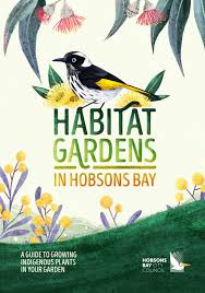 Image result for Wahlenbergia paludicola