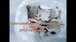 Des plantes en arabe reviewed by dynamica38 on 03:26 rating: Traduction Plantes Herbes En Francais Arabe N 3 Youtube