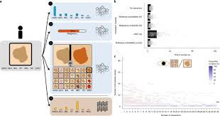 Since 1973 the rate of new diagnosis of malignant melanoma has doubled from six per 100,000 to 12 per 100,000. Human Computer Collaboration For Skin Cancer Recognition Nature Medicine