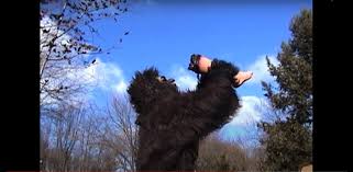 EVIL Bigfoot is All About the Amputating and Mutilating! “Suburban Sasquatch”  reviewed! (Visual Vengeance / Blu-ray) | It's Bloggin Evil!