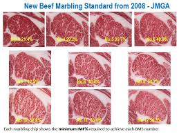 Why Wagyu Cloverdale Wagyu 100 Full Blood Wagyu
