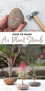Air Plant Holder With Rock And Wire Diy Air Plant Display Garden Therapy In 2021 Air Plants Diy Air Plants Decor Air Plants